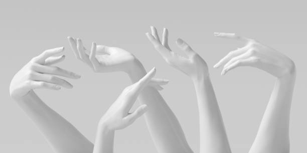 istock Mannequin hands set, isolated female hand white sculptures elegant gestures isolated 3d rendering concept 1264304144