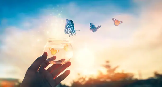 Photo of The girl frees the butterfly from the jar, golden blue moment Concept of freedom