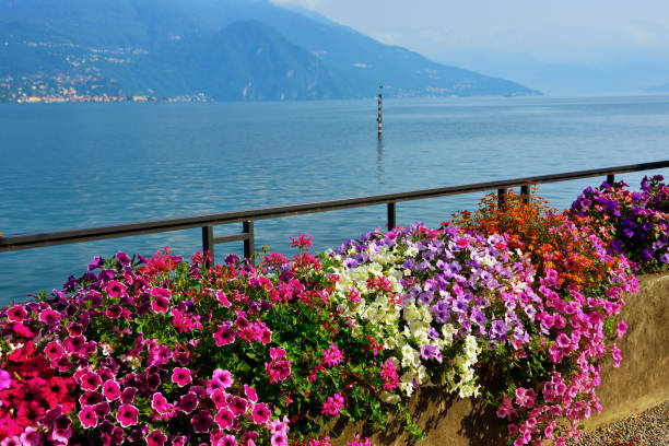 istock Bellagio lake como italy 1264309200