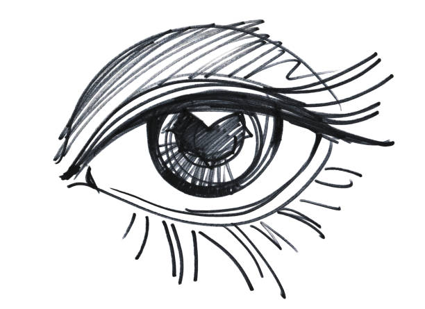 istock Female eye left, graphic drawing with marker. Illustration isolated on white background 1264309226