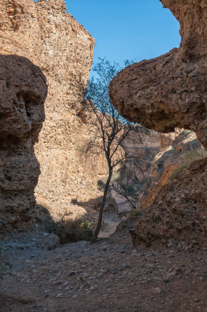 istock Entrance to the Sesriem Canyon 1264309564