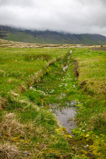 istock Ditch in an Icelandic landscape 1264309617
