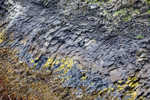 Moss-covered rock in the bush