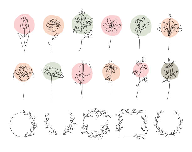 ilustraciones, imágenes clip art, dibujos animados e iconos de stock de conjunto de flores de una sola línea - línea recta ilustraciones