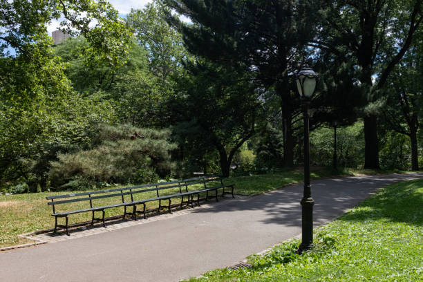 istock Empty Path with Green Grass and a Bench at Central Park during Summer in New York City 1264311053