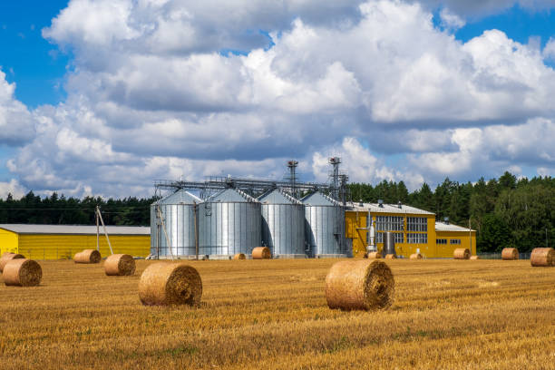 impianto agroindustriale per la lavorazione dell'essiccazione e stoccaggio di prodotti agricoli, farina, cereali e cereali. ascensore granaio. concetto agroalimentare - cereal plant processed grains rice wheat foto e immagini stock