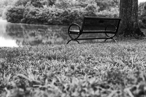 Black and white of a park bench by a lake.