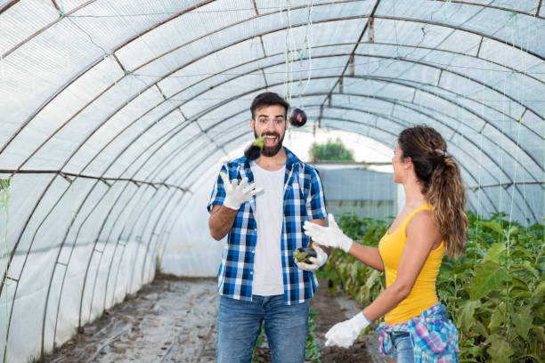 自然食品のための新鮮な有機野菜と彼らの新しい温室で楽しんで若い満足農家の家族のカップル - small business enjoyment growth planning ストックフォトと画像