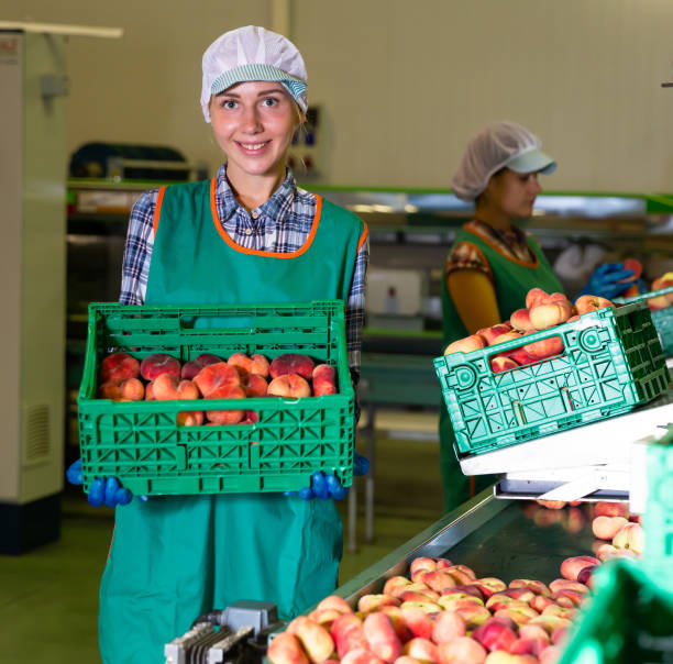 istock Woman standing with crate of peaches during sorting at warehouse 1264317962