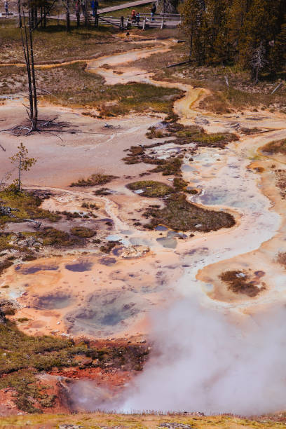 Artists Paintpots in Yellowstone National Park Artists Paintpots in Yellowstone National Park norris geyser basin photos stock pictures, royalty-free photos & images