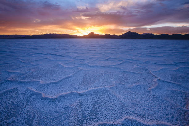 Sunset at Bonneville Salt Flats stock photo