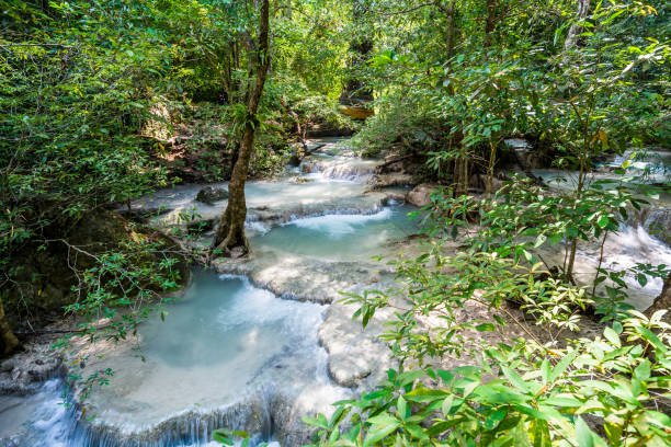 chute d’eau et couleur bleue d’eau d’émeraude dans le parc national d’erawan. - waterfall tropical rainforest erawan thailand photos et images de collection