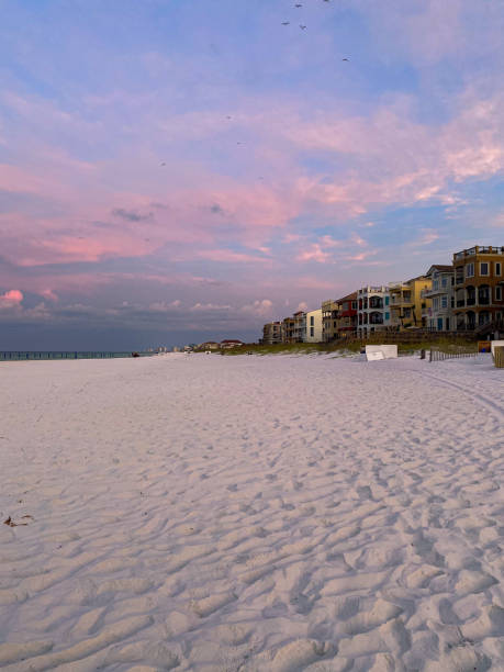 istock Sunrise Beach landscape 1264321228