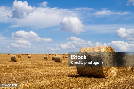 istock Hay bales on the field after harvest. Beautiful countryside landscape, rural nature in the farm land. Autumn, Harvesting concept. 1264322138