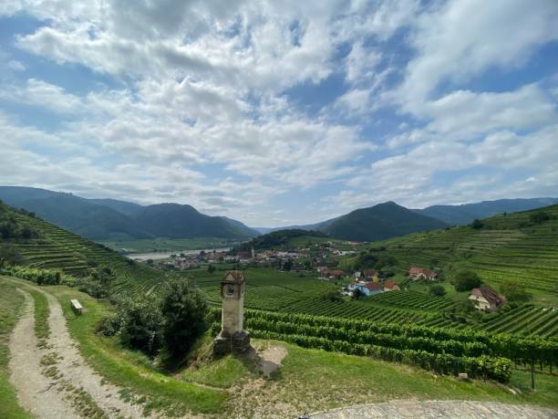 istock Wachau in the summer bloom 1264323648