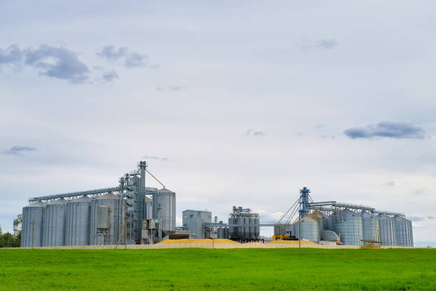 istock Granary elevator. Metal silos for grain storage, drying, cleaning agricultural products, flour, cereals and grain. Agro-processing, agronomy concept 1264323763