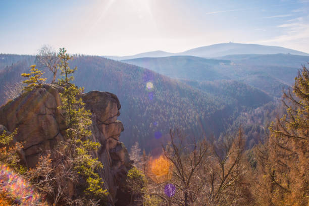 istock Beautiful wild landscape at German National Park 1264323884