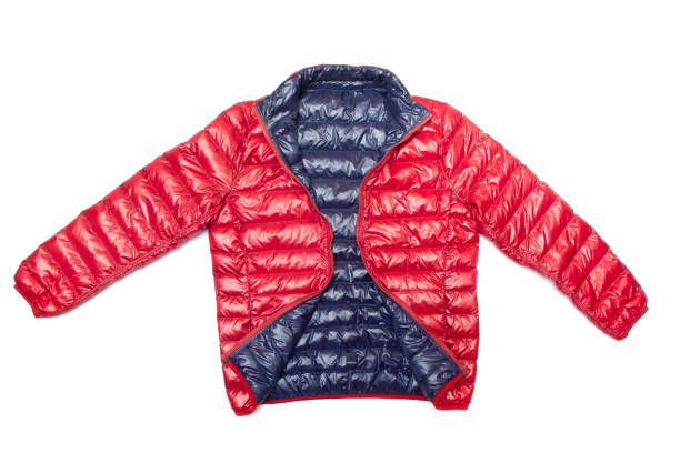 istock Blue and red full zipper windbreaker down jacket, 1264328280