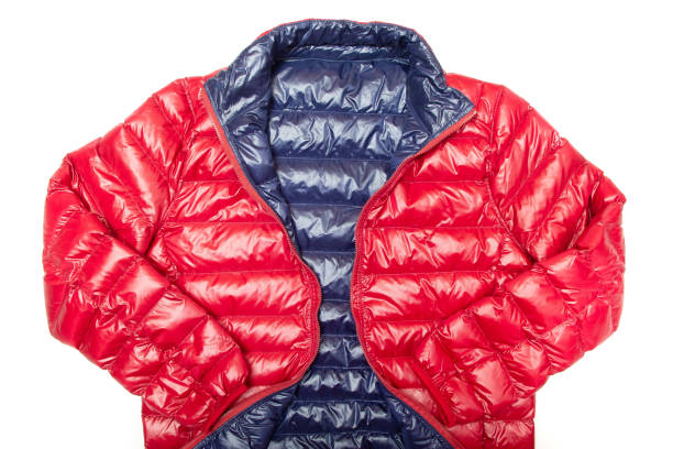 istock Blue and red full zipper windbreaker down jacket, 1264328620