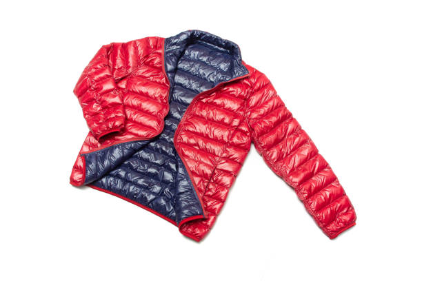istock Blue and red full zipper windbreaker down jacket, 1264328828