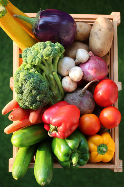 image wooden produce crate full of fruit and vegetables including potatoes, red onions, tomatoes,mushrooms, yellow, green and red bell peppers, beetroot, aubergines, courgettes, broccoli, carrots and cucumbers, green background, elevated view - beet vegetable box crate imagens e fotografias de stock