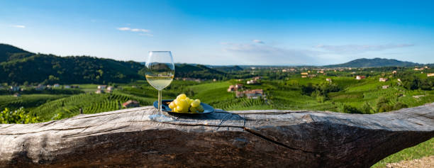 ワイングラス、木のテーブルにブドウ、イタリアワイン、白ワインのグラス - vineyard tuscany italy italian culture ストックフォトと画像