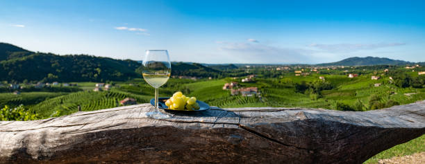 taça de vinho com uvas em uma mesa de madeira, vinho italiano, taça de vinho branco - wine glass white wine wineglass - fotografias e filmes do acervo