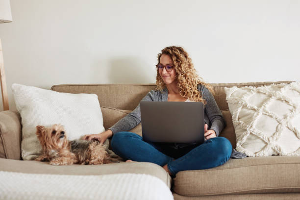 istock It's just you and me, buddy 1264330840