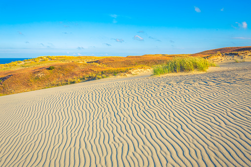 Sand textures at Grey Dunes, Dead Dunes at the Curonian Spit in Nida, Neringa, Lithuania