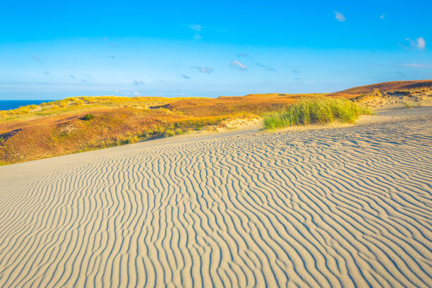 sand textures at grey dunes, dead dunes at the curonian spit in nida, neringa, lithuania - activity baltic countries beauty in nature blue imagens e fotografias de stock