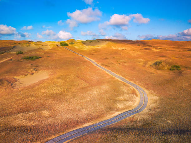 beautiful grey dunes, dead dunes at the curonian spit in nida, neringa, lithuania - activity baltic countries beauty in nature blue imagens e fotografias de stock