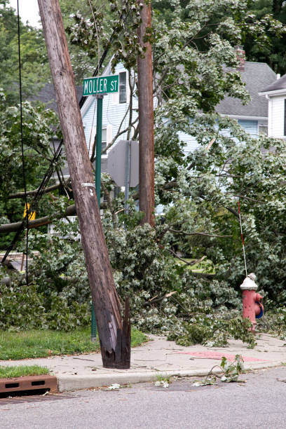 istock Damaged and split telephone pole with downed wires after a storm 1264336662