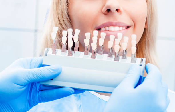 istock Dentist holding teeth color palette 1264336790