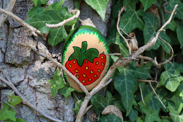 istock A painted hiking stone is left on the walking path for passersby to see 1264336844