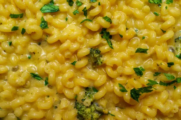 Delicious macaroni and cheddar cheese cellentani pasta cooking on kitchen stove