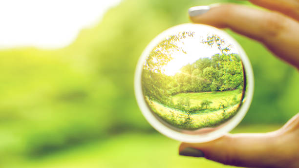 Lense Clear view through contact lense on nature viewpoint stock pictures, royalty-free photos & images