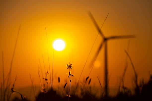 Defocused windmill tower with orange sunset or sunrise sky in the background and bright wild plants in backlight in the foreground. With copy space. Clean energy, climate change and ecology concepts