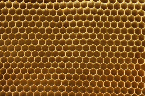 istock yellow  beecomb background with empty cells for honey 1264342360