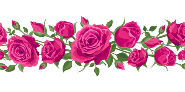Seamless Flower Garland Hot Pink Roses With Leaves Vector Illustration  Decoration Garland On A White Background Bright Beautiful Pink Roses For  Weddings Birthday Anniversary Stock Illustration - Download Image Now -  Istock