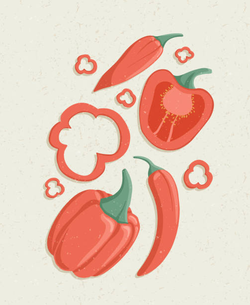 ilustrações de stock, clip art, desenhos animados e ícones de vector bell peppers cartoon illustration with textures. healthy organic natural chili and bell pepper slices. - mexico chili pepper bell pepper pepper