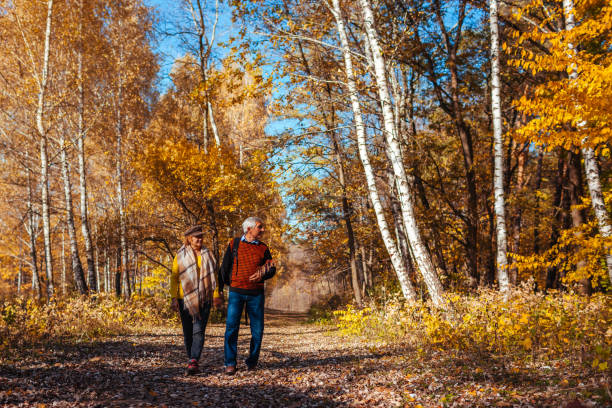 秋の散歩。秋の公園を歩くシニアカップル。屋外で話し、リラックスして幸せな男女 - senior adult retirement mature adult couple ストックフォトと画像