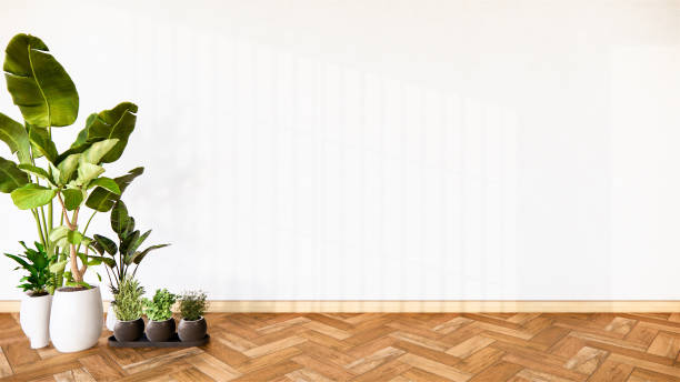 istock Plants decoration on empty room interior with wooden floor. 3D rendering 1264343640