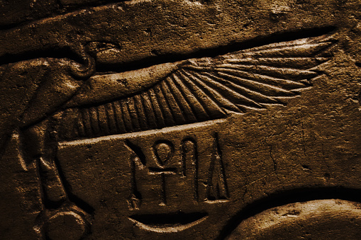Egyptian hieroglyphics set in stone with symbols and a vulture