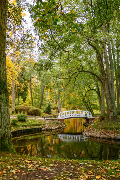 istock Beautiful autumn landscape in Palanga, Lithuania 1264347404