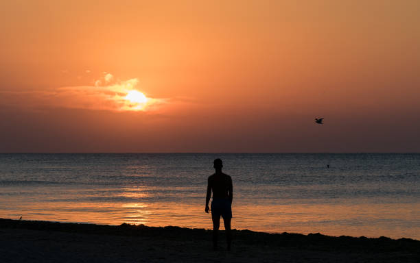 istock The man stands alone on the beach 1264352481