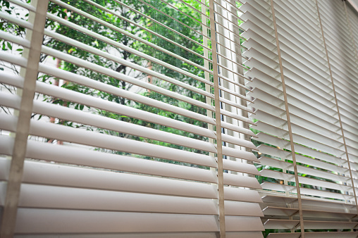 Low angle of Venetian blinds looking through garden in office