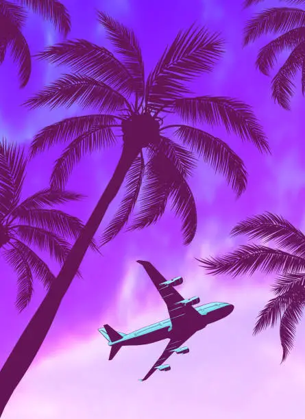 Vector illustration of Passenger Airplane Over Palm Trees with Beautiful Blue Green Yellow Sunset