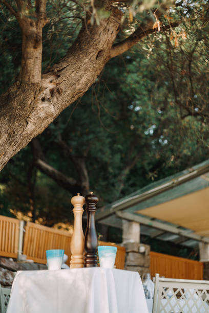 istock A beige salt shaker and a brown pepper shaker on a table with two glasses outside under a tree. 1264355142