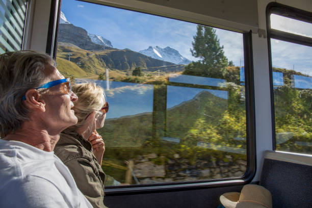 istock Mature couple in moving train enjoy the passing views 1264356783