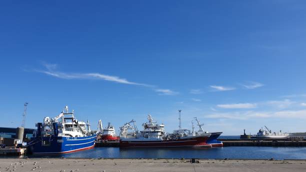 istock Fishing boats 1264359012
